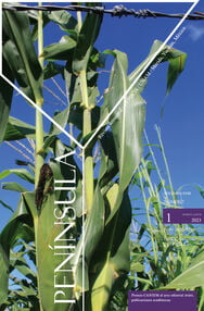 acercamiento a una planta de maíz, dentro de un sembradío, mirando hacia un cielo azul y muy despejado